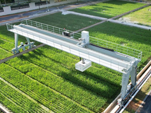 高通量植物表型采集平台